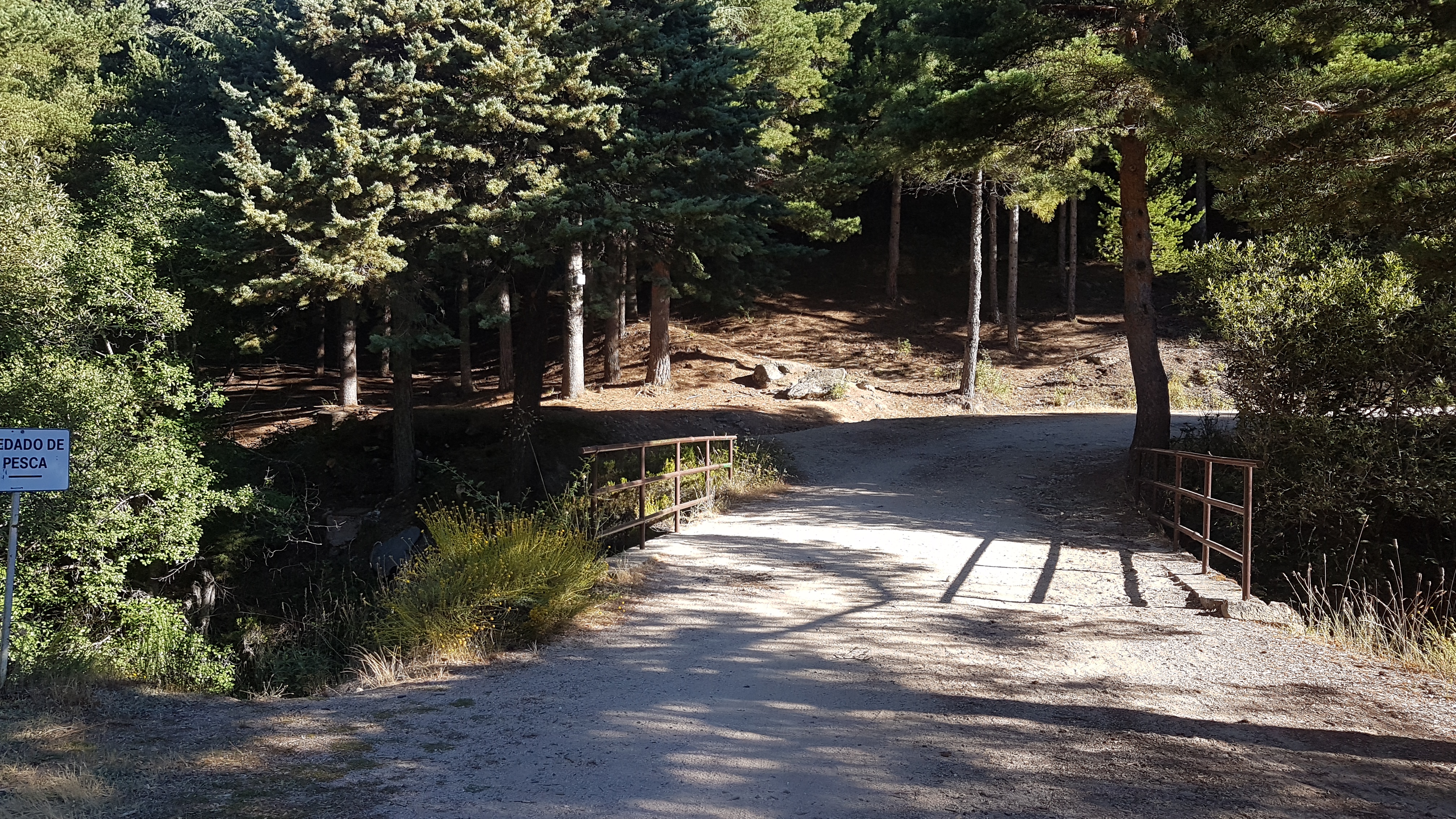 Imagen de ruta