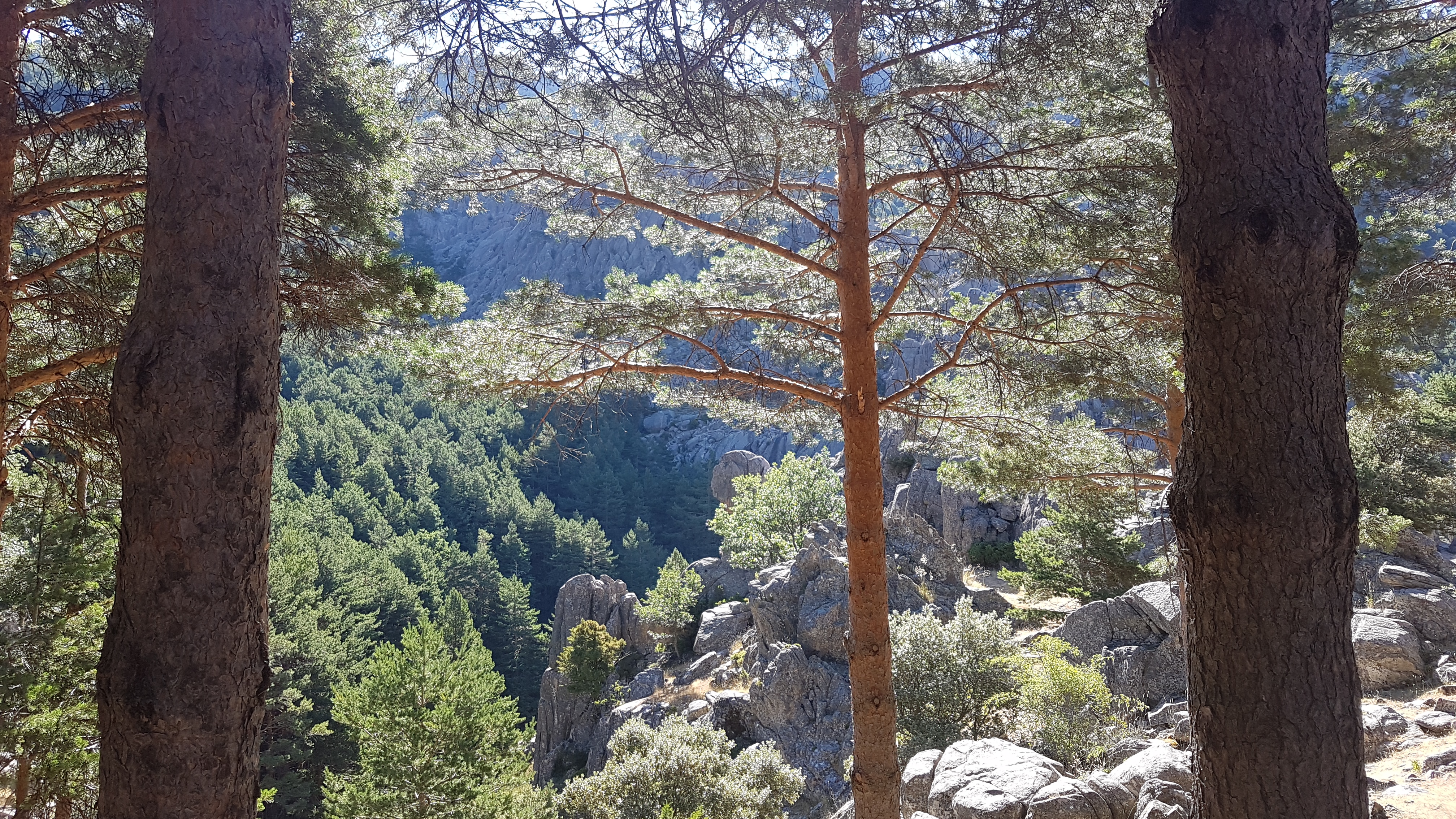 Foto de la ruta