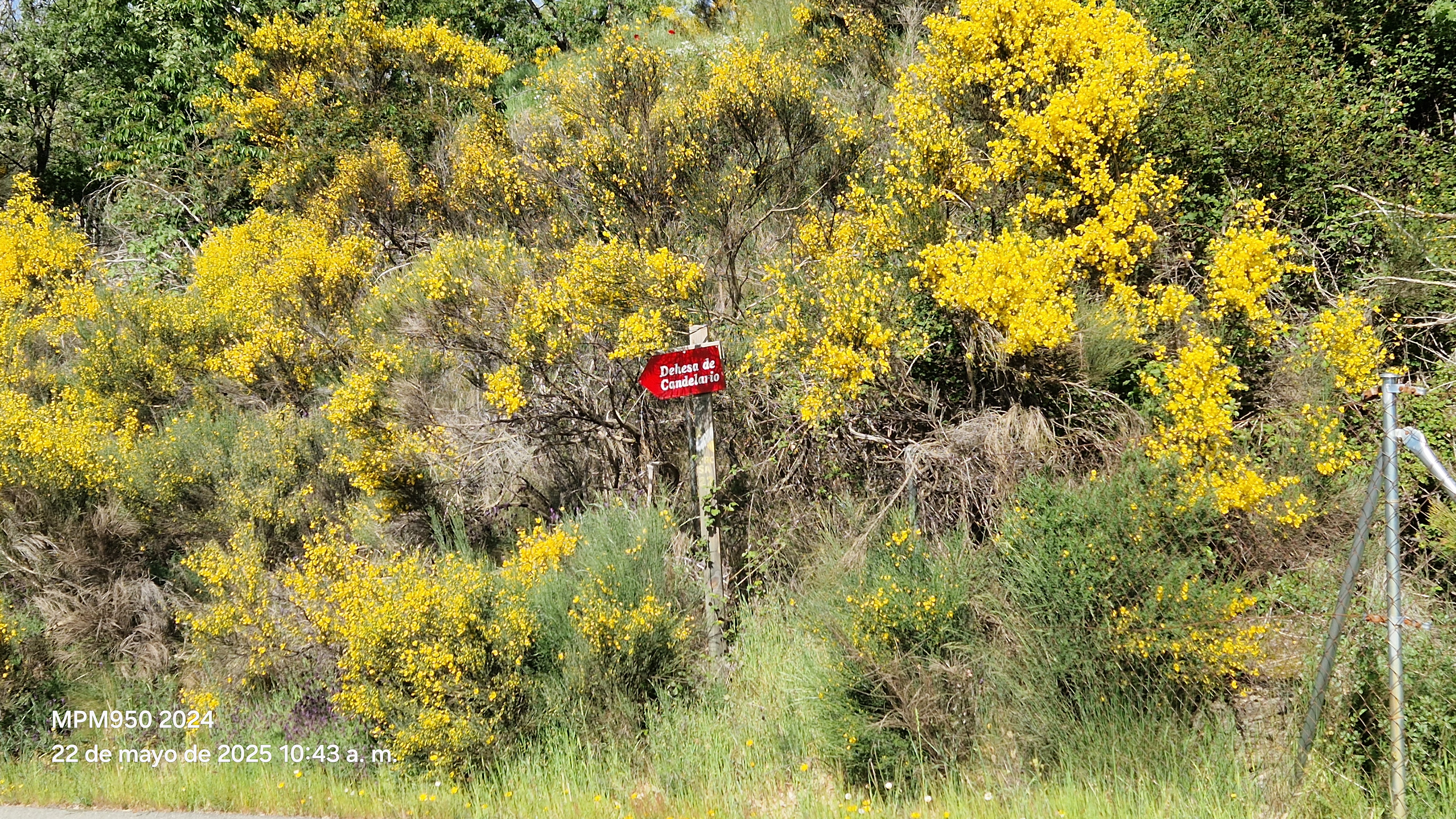 Foto de la ruta