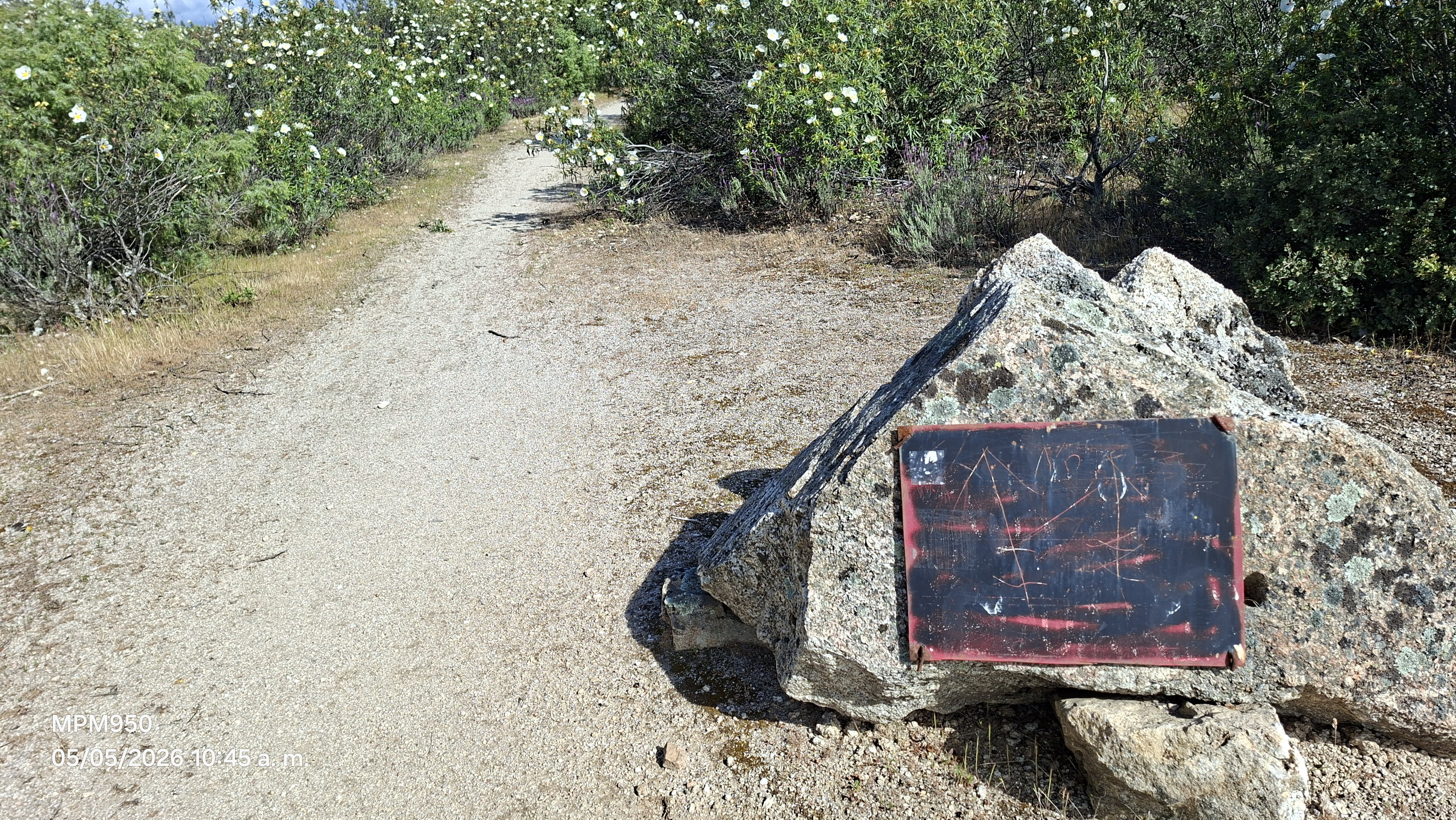 Foto de la ruta