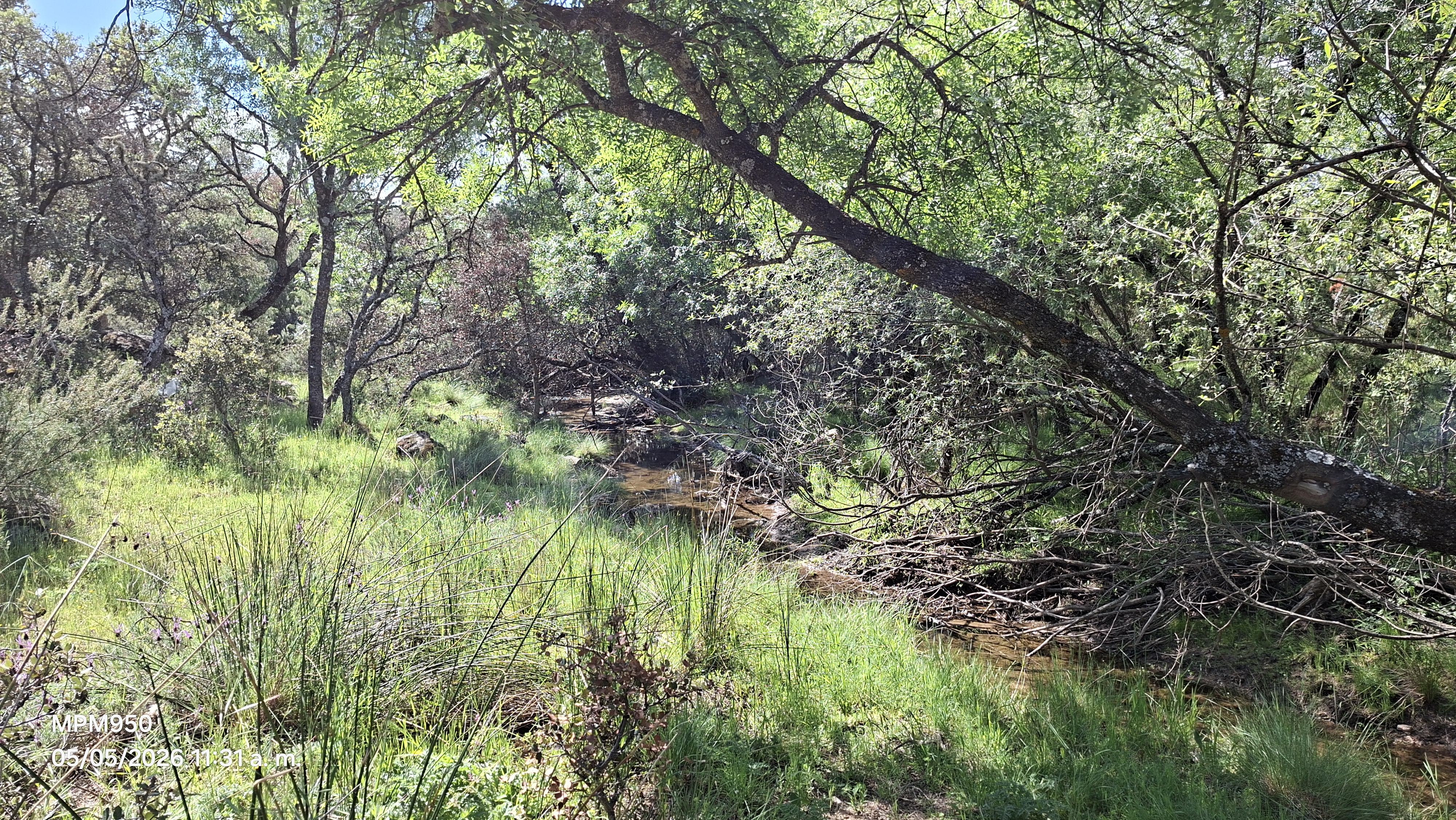 Foto de la ruta