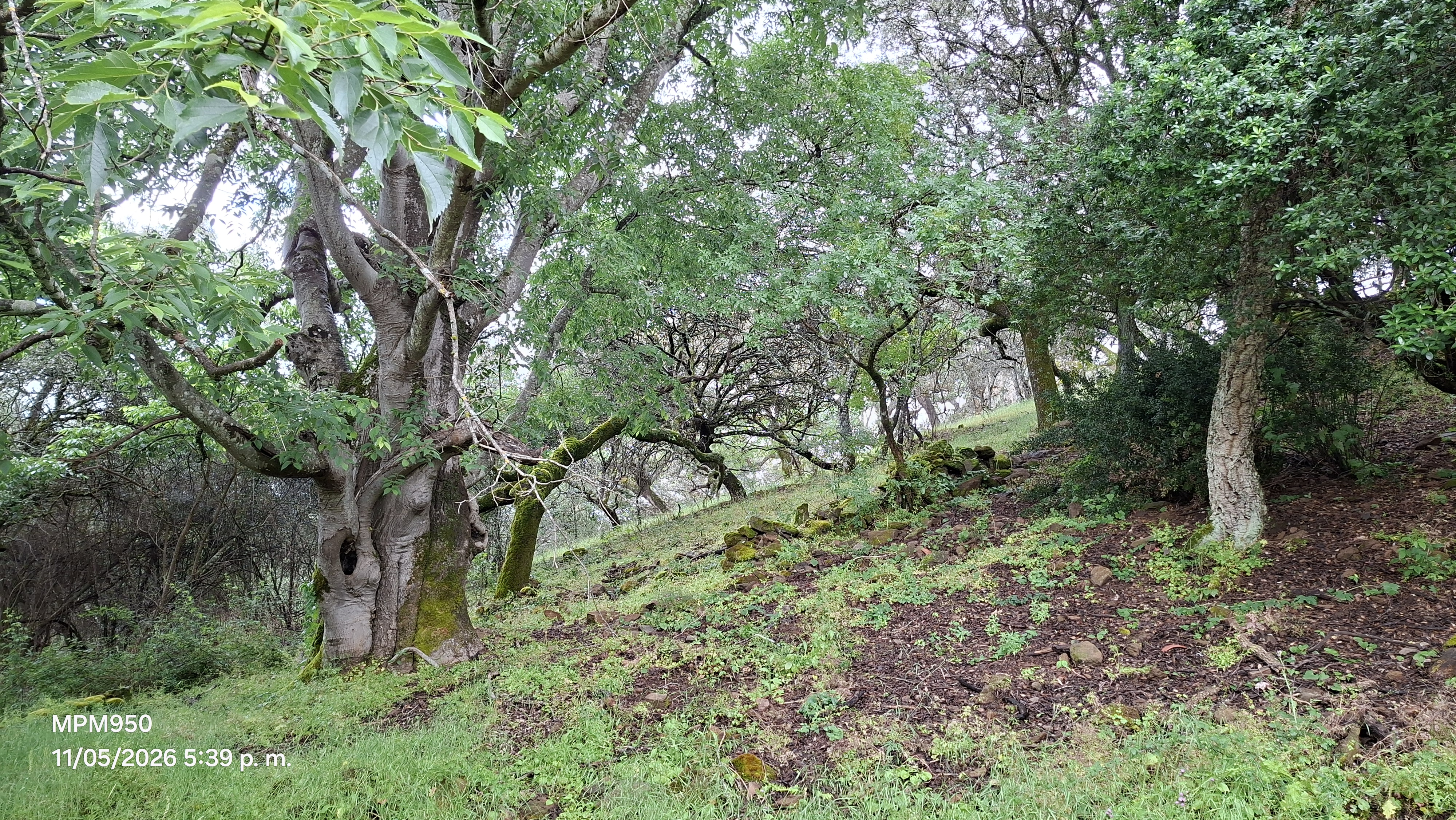 Foto de la ruta