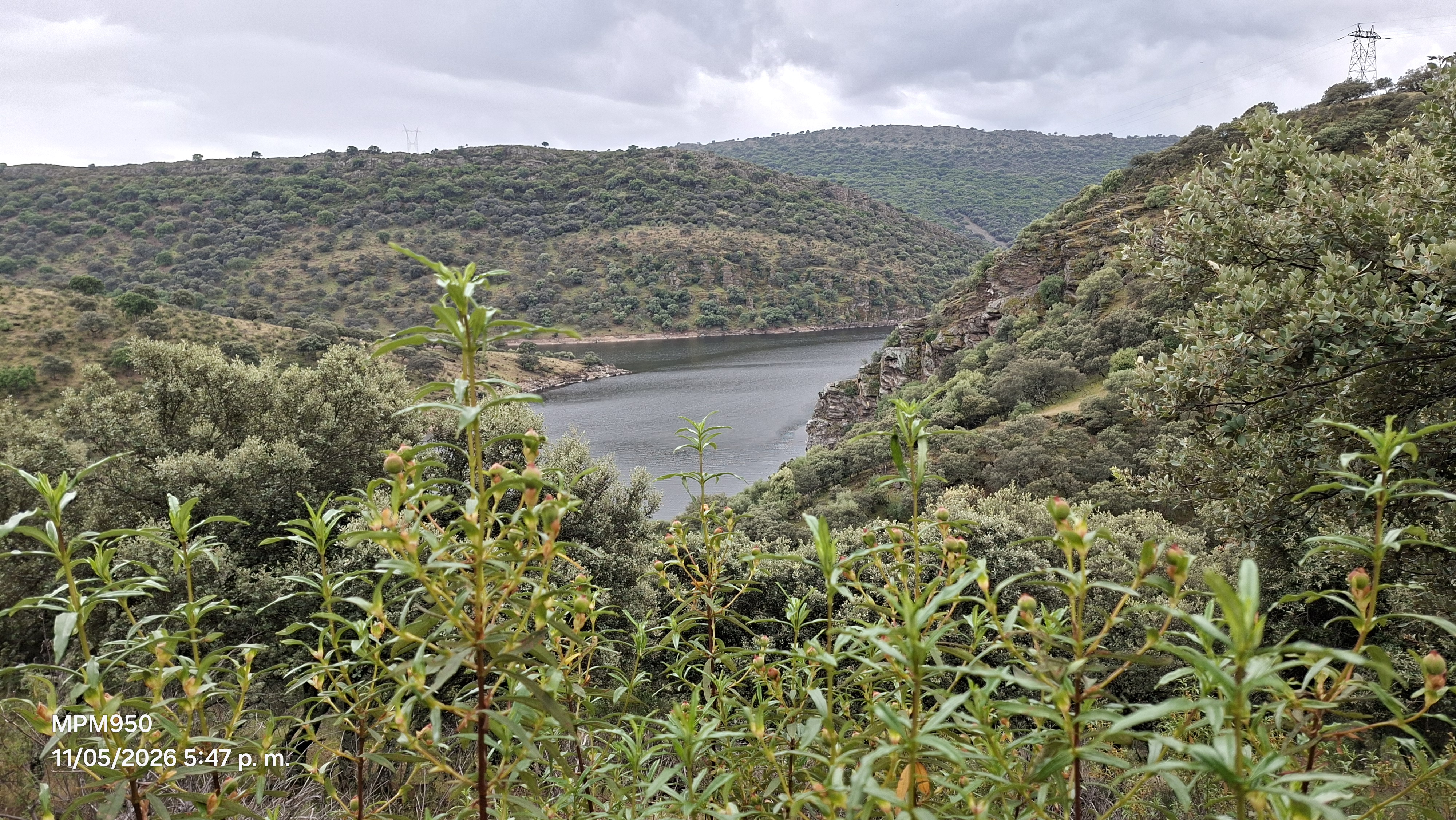 Foto de la ruta