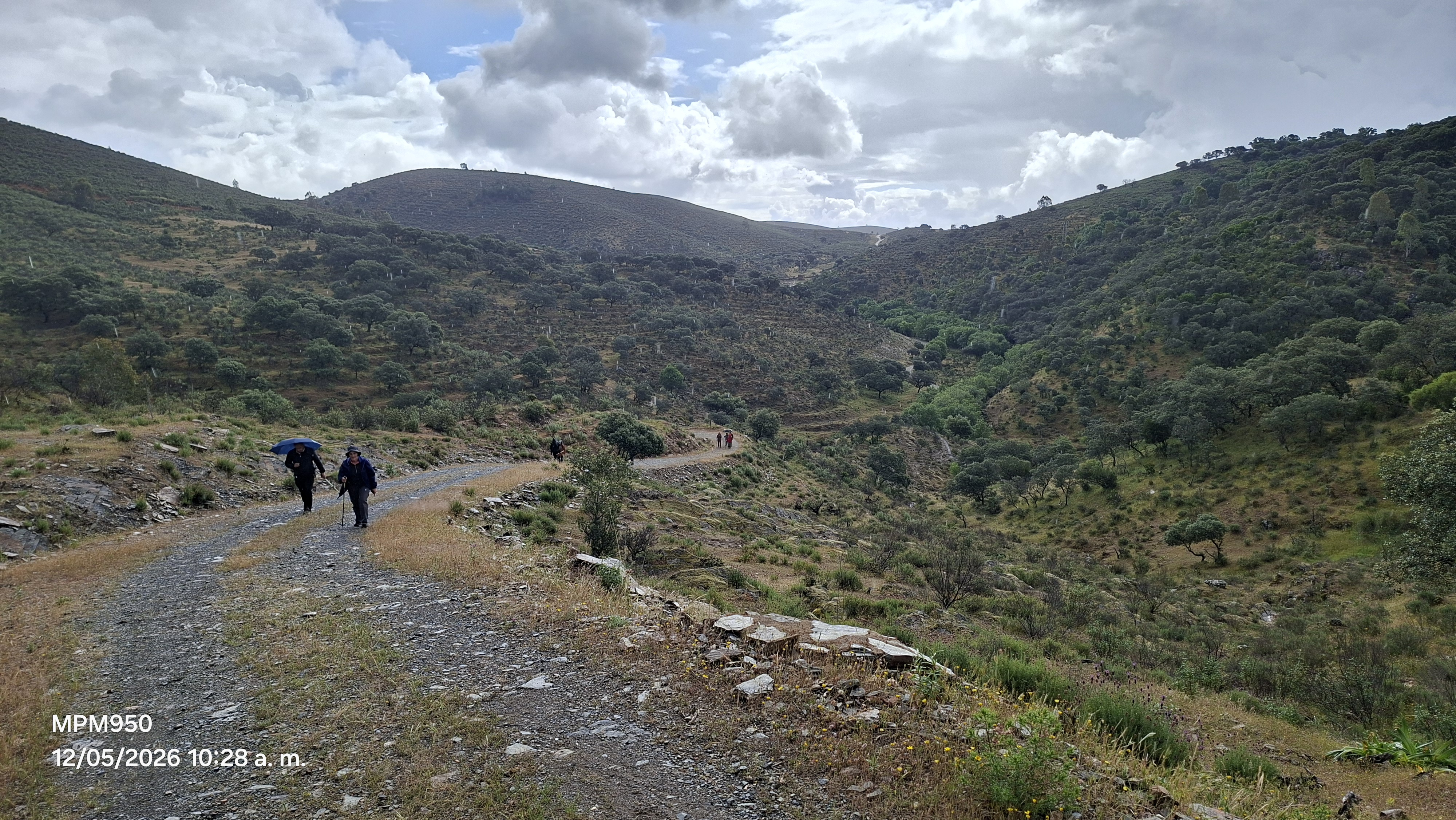 Foto de la ruta