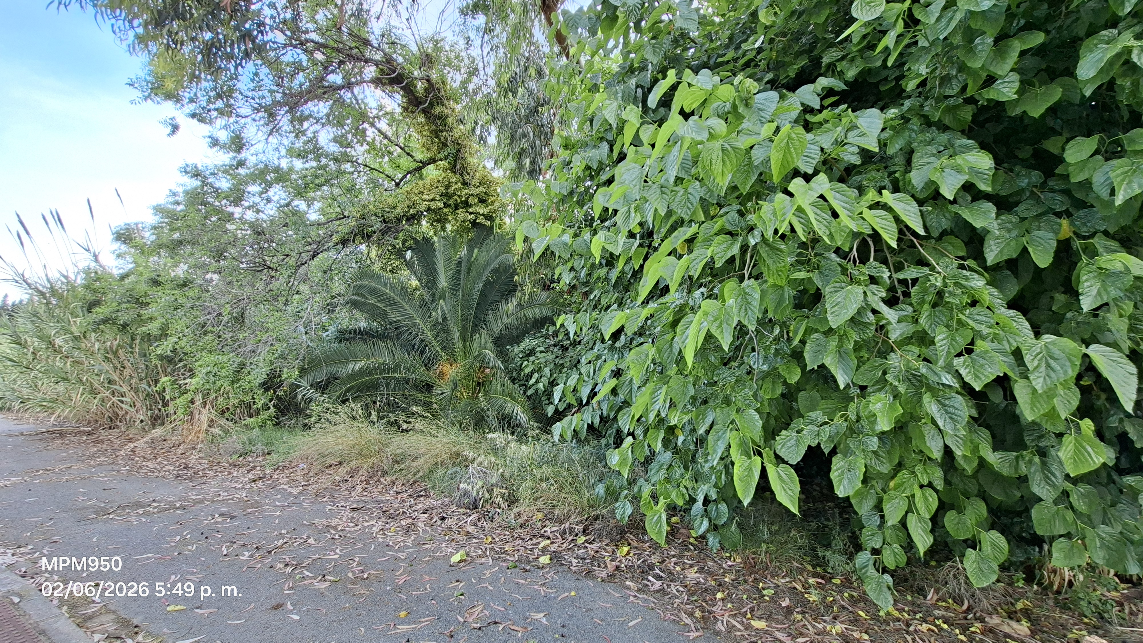 Foto de la ruta