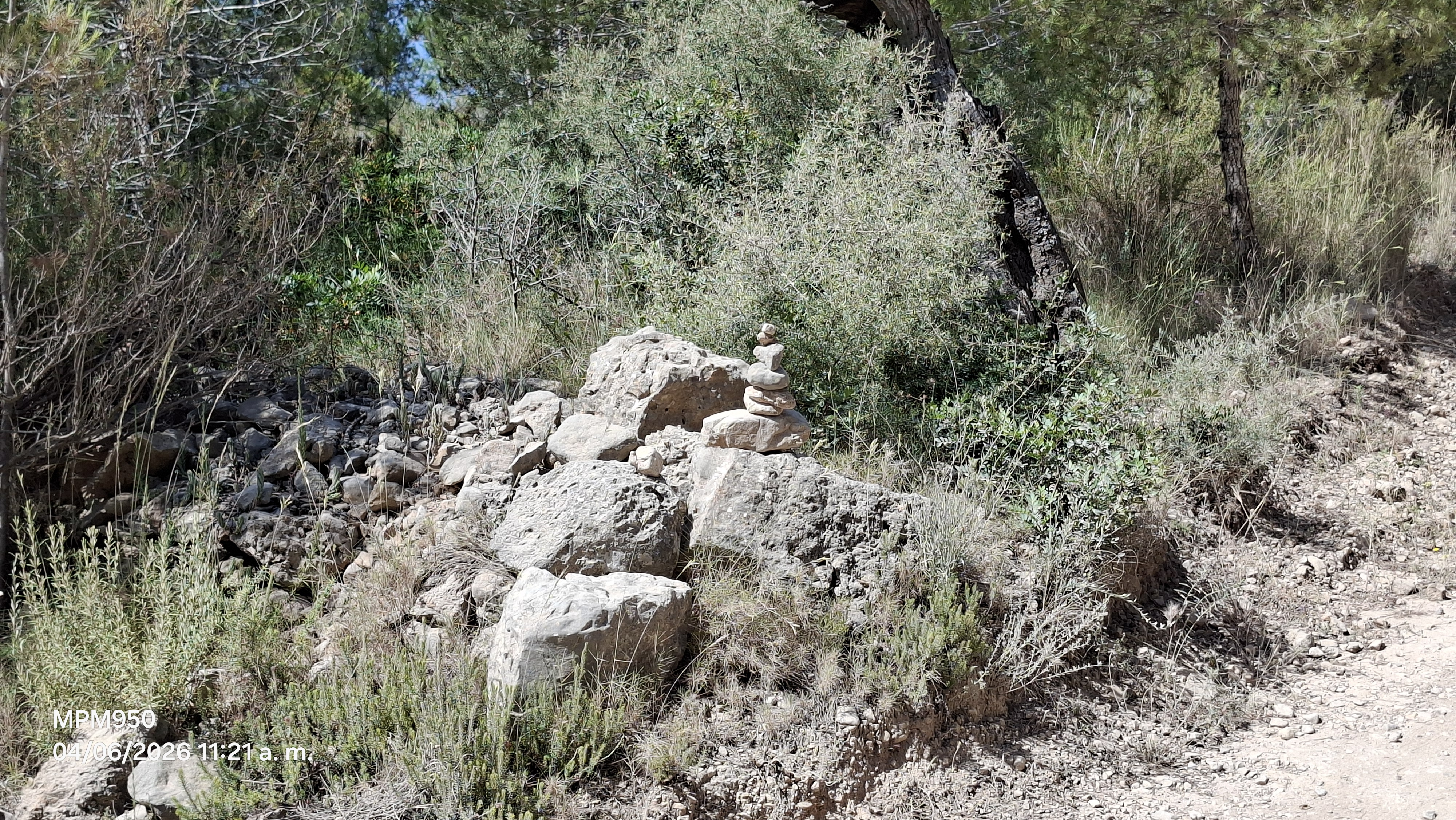 Foto de la ruta
