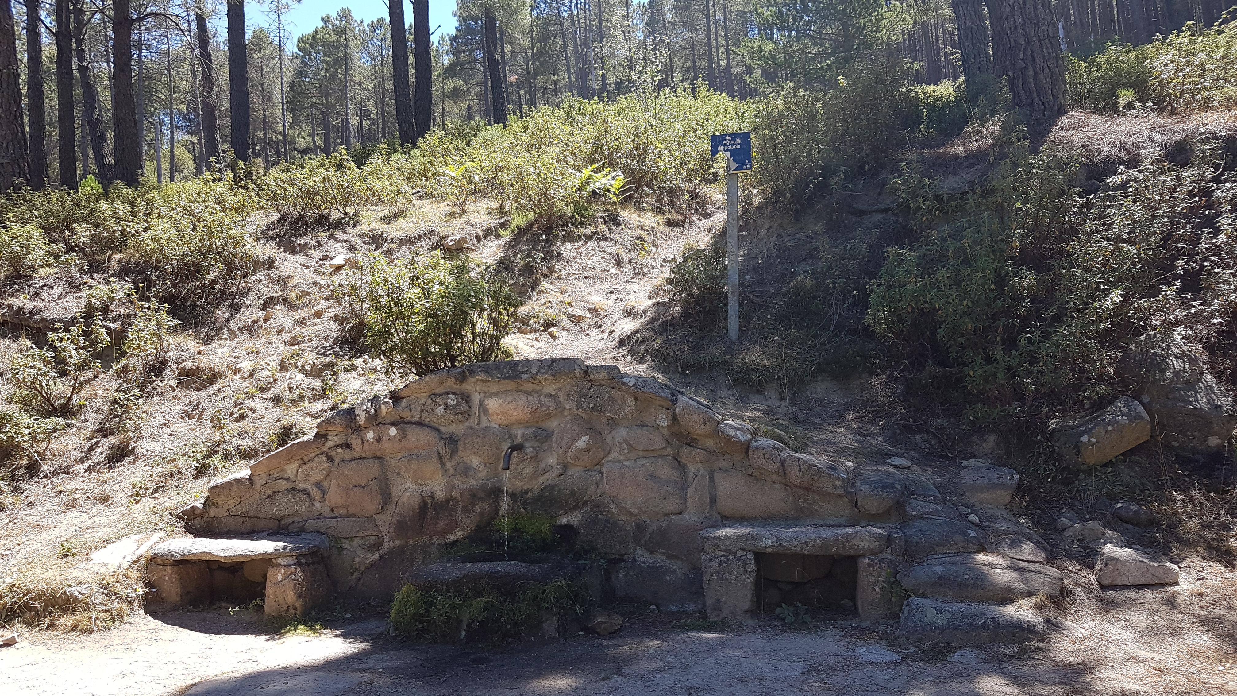 Foto de la ruta