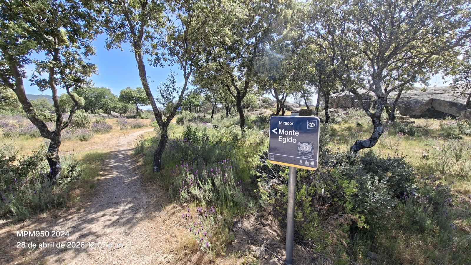 Foto de la ruta