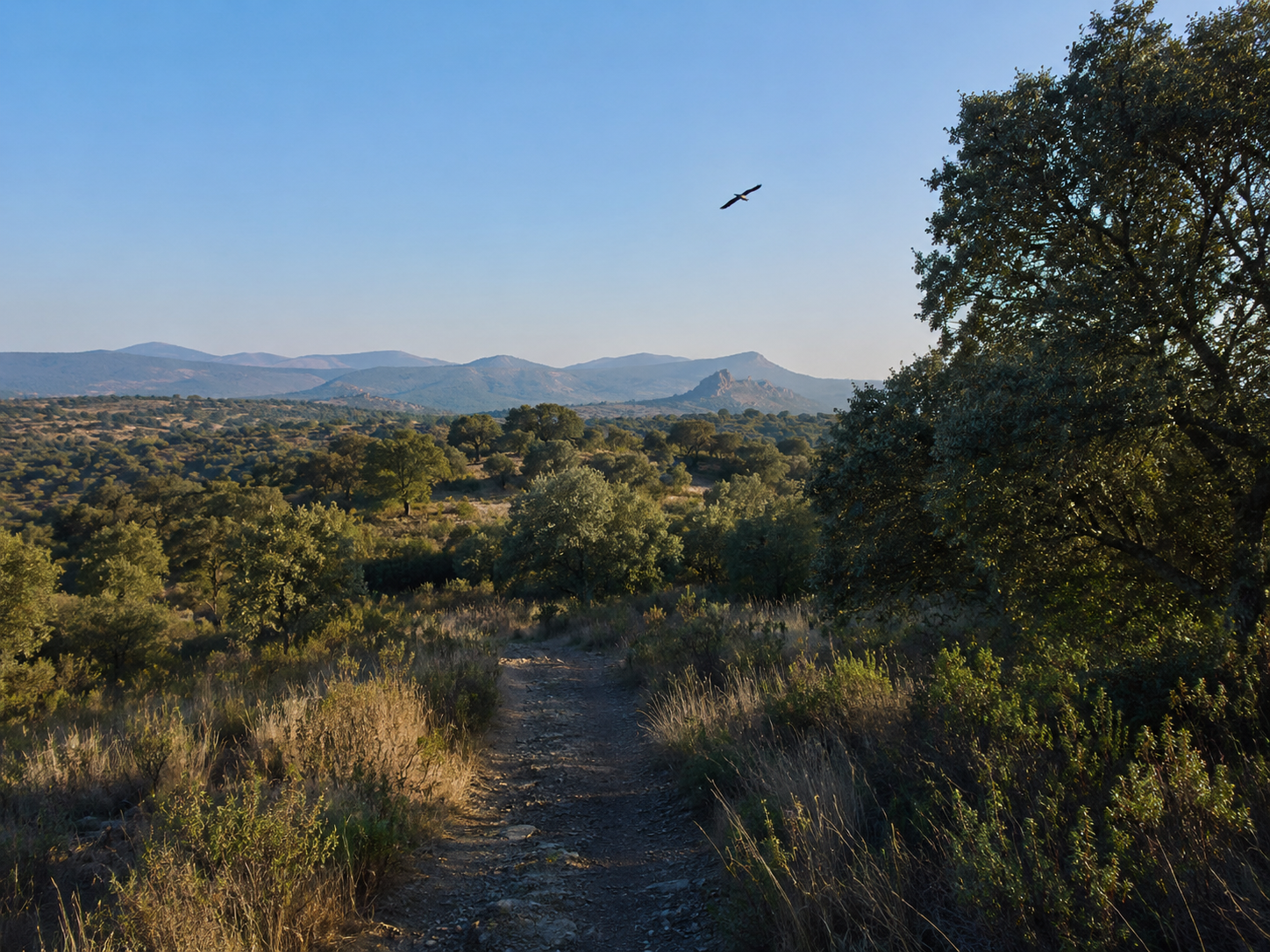 Foto de la ruta