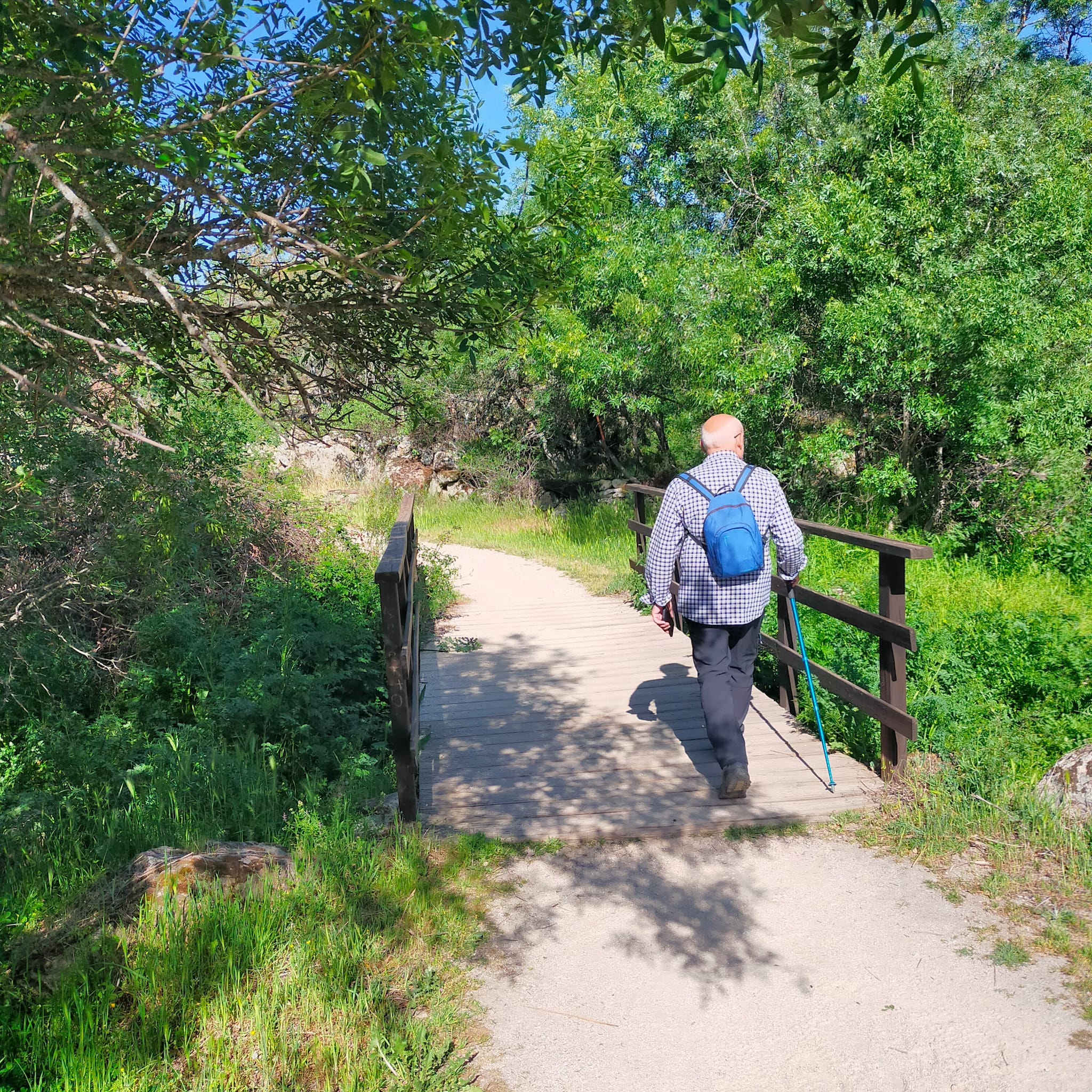 Foto de la ruta
