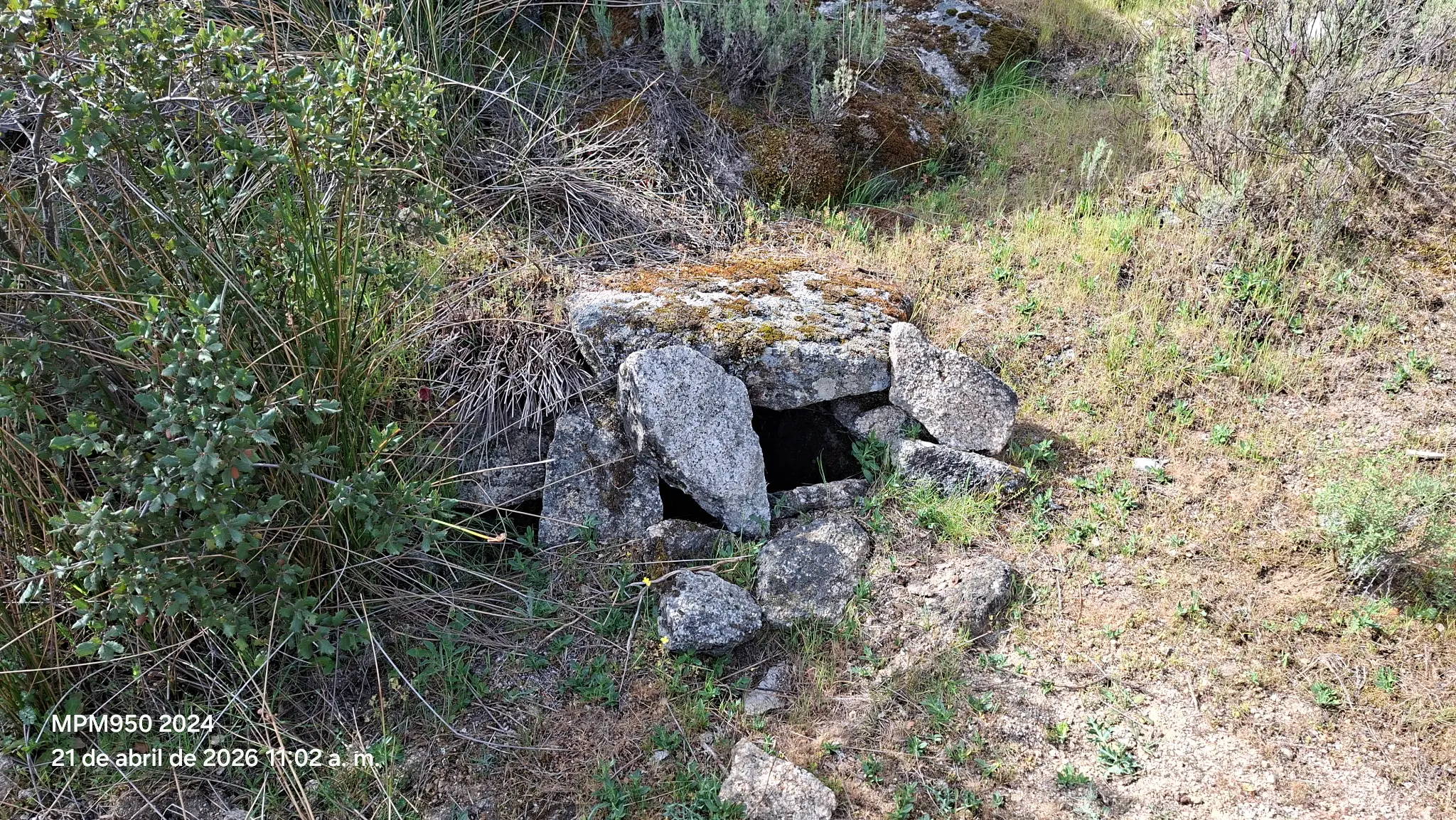 Foto de la ruta