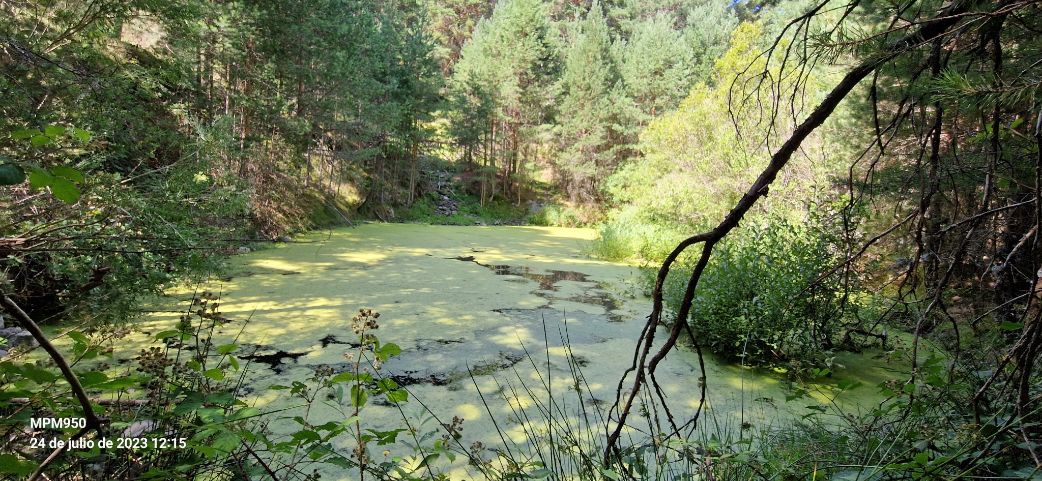 Imagen de ruta