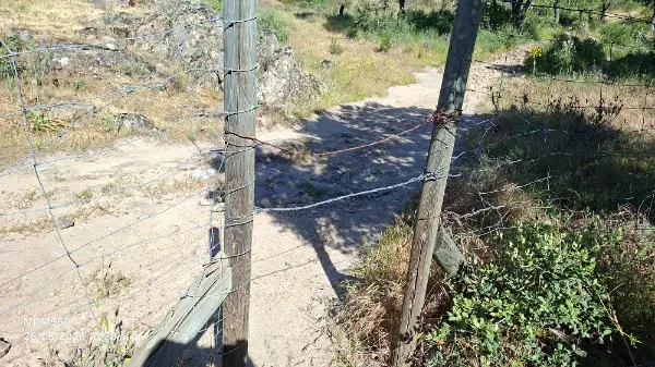Foto de la ruta
