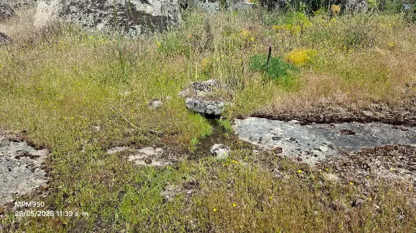 Foto de la ruta