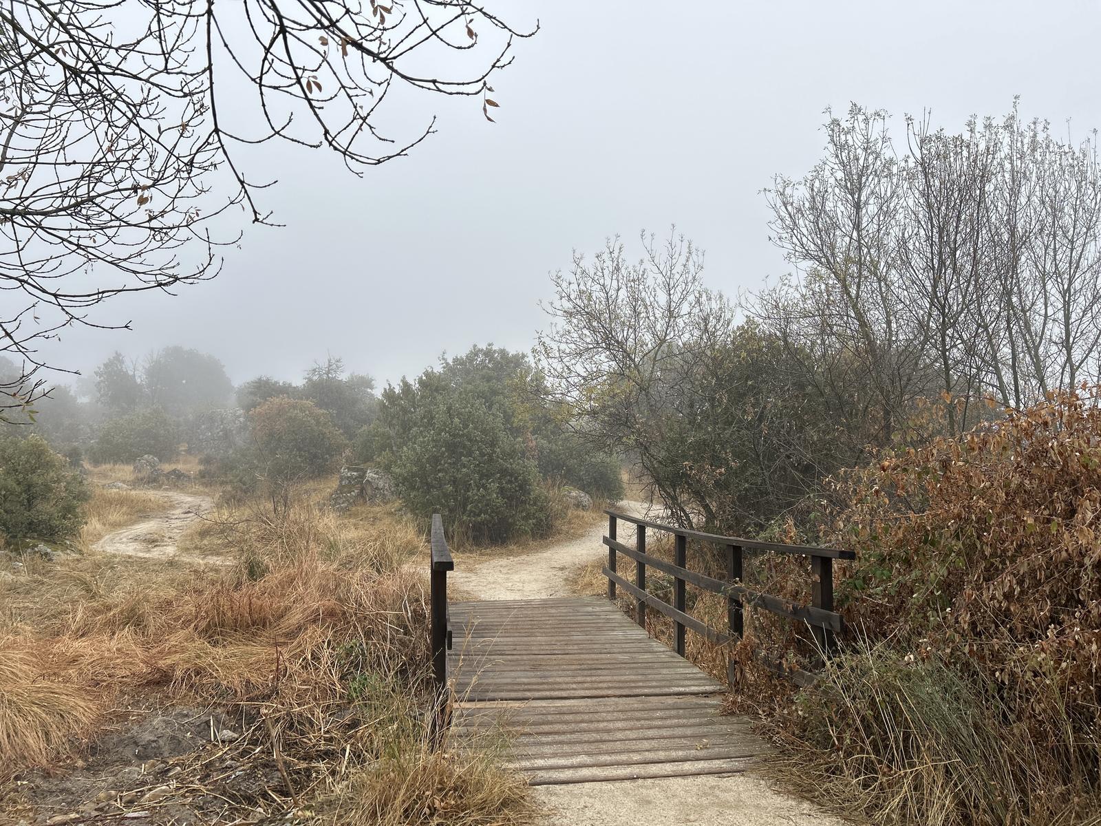 Foto de la ruta