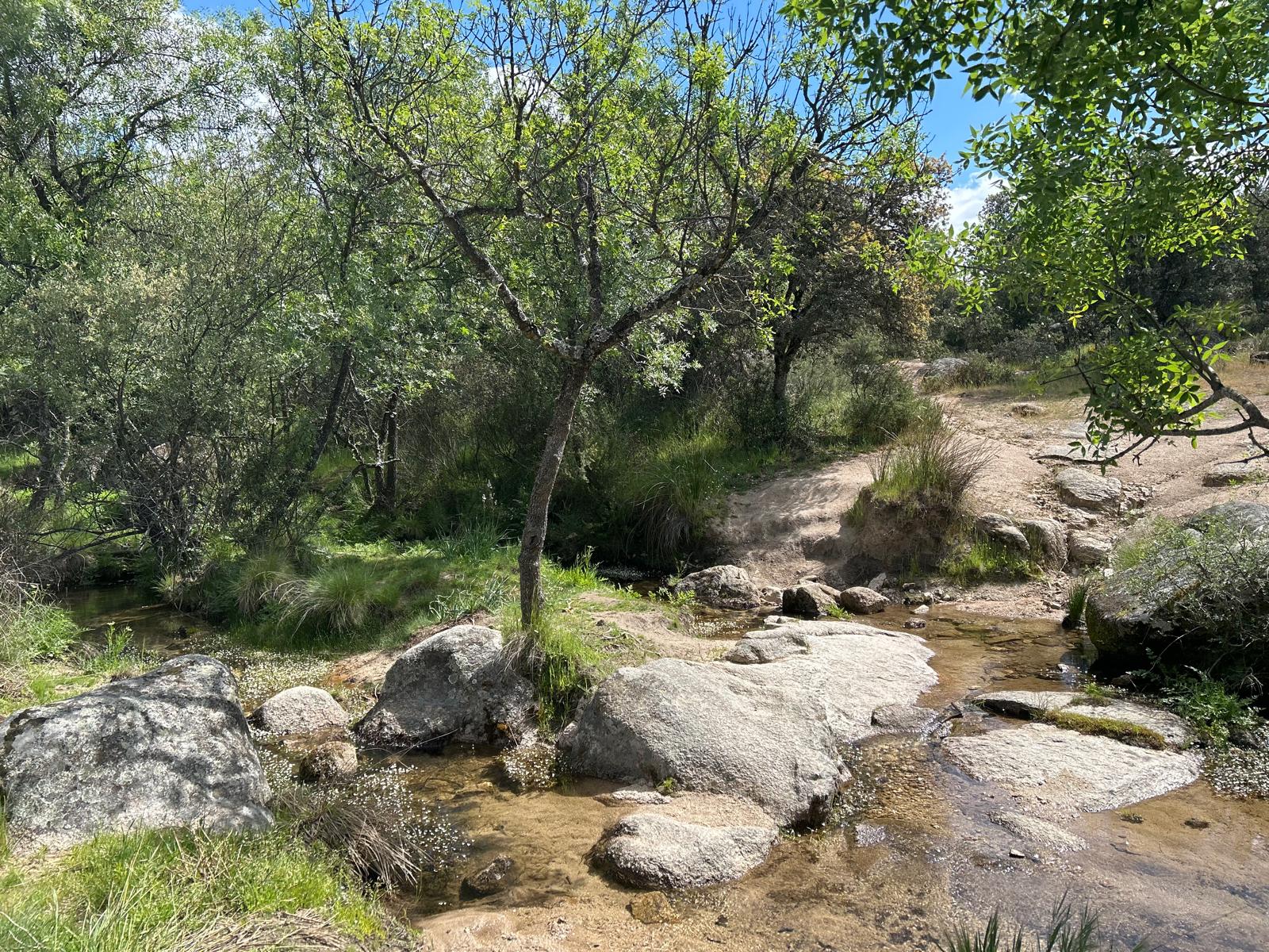 Foto de la ruta